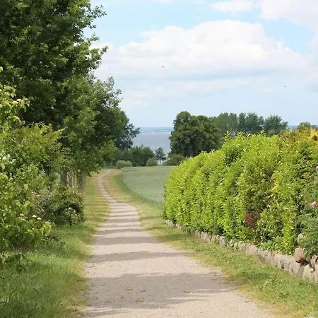 Apartment Klatschmohn