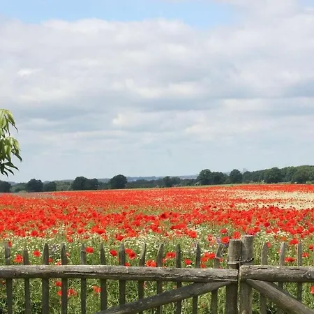 Klatschmohn Apartment *