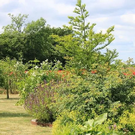 Apartment Klatschmohn Groß Schwansee