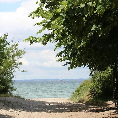 Klatschmohn * Groß Schwansee